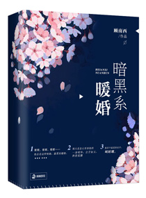 暗黑系暖婚讲的什么